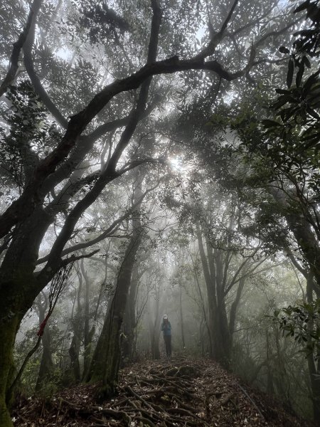 ~  塔  曼  山  ~2782783