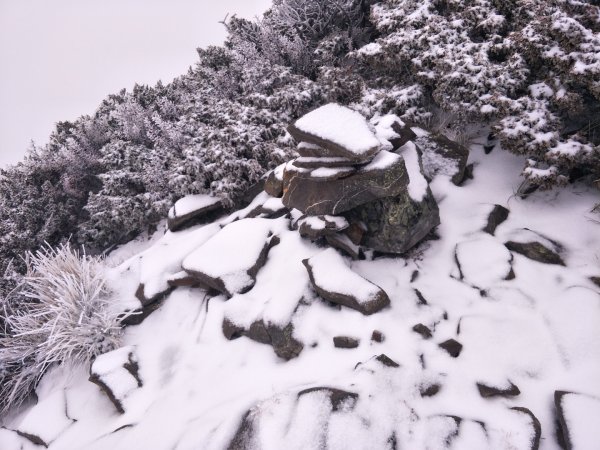 百岳:玉山南峰_雪季1575115