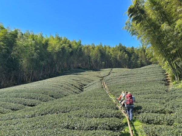 溪頭六連峰O繞2741732