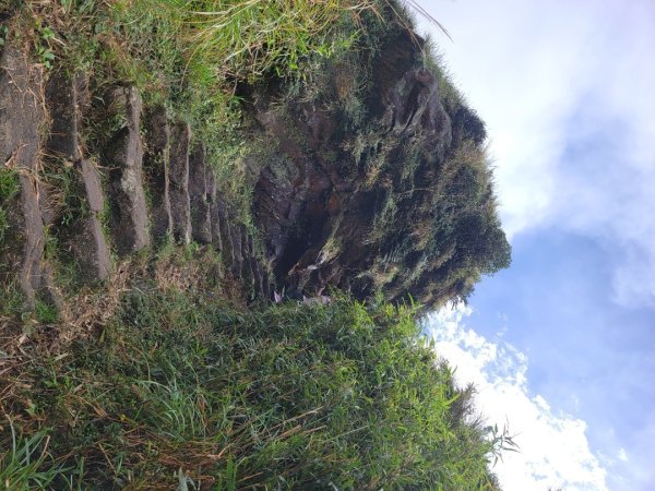 苗圃-七星山主,東峰-大屯山主峰-二子坪-202410262859672