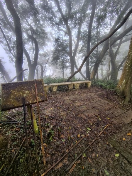 苗栗關刀山2975077