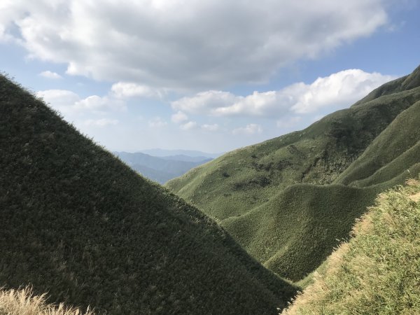 聖母登山步道(抹茶山)1387235