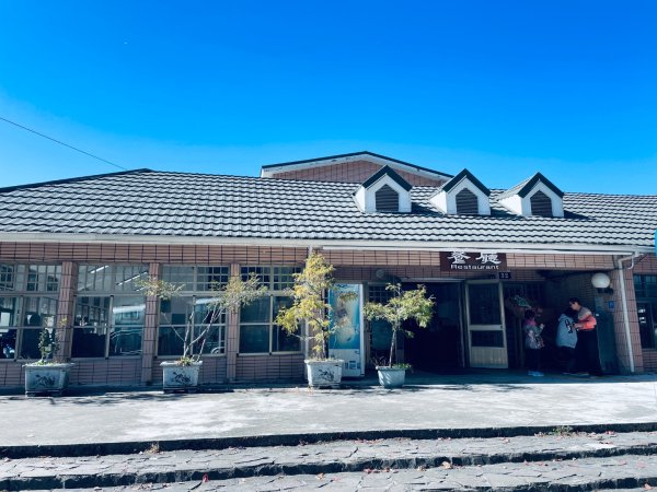 20241230 大雪山神木步道2745375