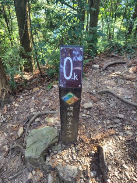 唐麻丹山 蝴蝶谷2918965