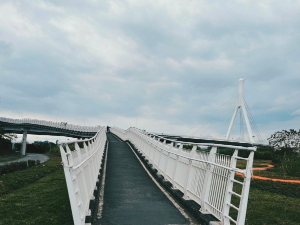 2023 臺北大縱走 8：捷運關渡站至華江雁鴨自然公園(上)2079487