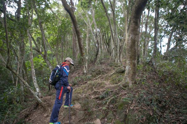 關西赤科山 東獅頭山連走218805