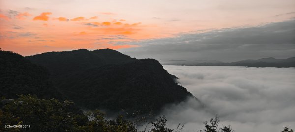 #翡翠水庫壩頂 #月亮 #日出 #雲海 #藍腹鷴母鳥 5/8&133050278