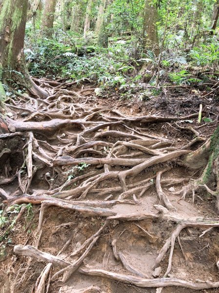 加里山之眾1248421