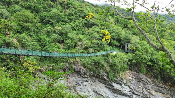 花蓮卓溪-瓦拉米步道1418137