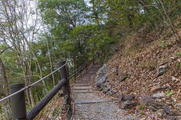 谷關七雄_波津加山2977619