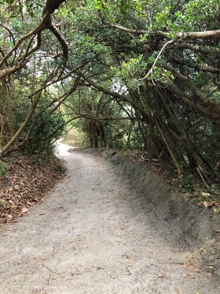 2020.04.02北柴山900690