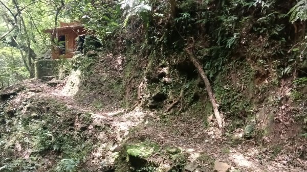 雙溪區烏山越嶺古道西段