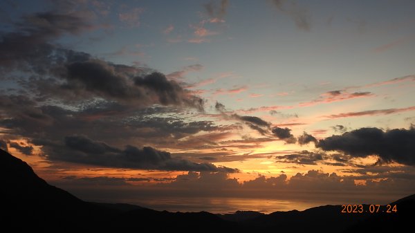 雲山水花鳥蝶-天龍國阿伯的日常7/242229446