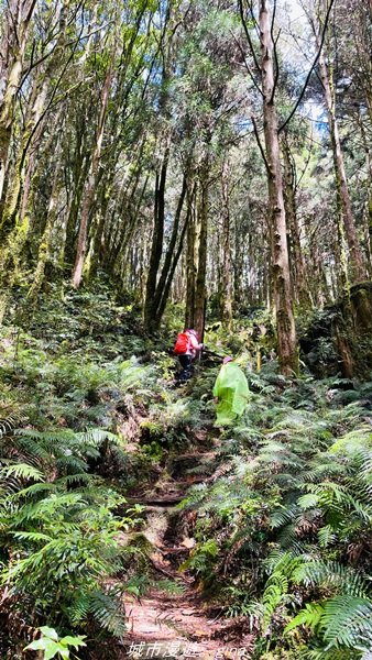 【宜蘭。大同】  三個女生的森林漫遊。  小百岳集起來。 編號85小百岳~三星山登山步道1664976