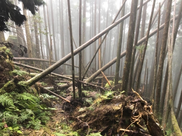 20180203冷氣團來襲登巴博庫魯山262473