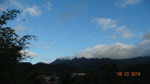 補考 - 艷紅鹿子百合656620