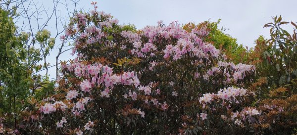2025/05/01-凌空廊道上李崠山2775493
