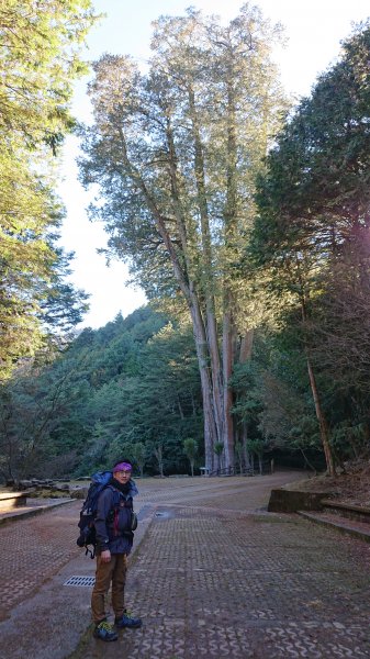 漫遊大雪山遊樂區1312335