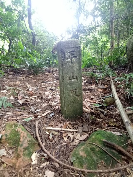 大坪林道之紅毛山無名山Ｏ型走1841909