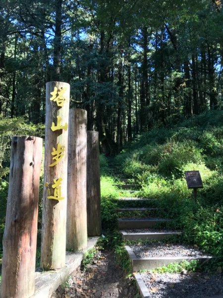 阿里山雙峰大塔山對高岳連走451411