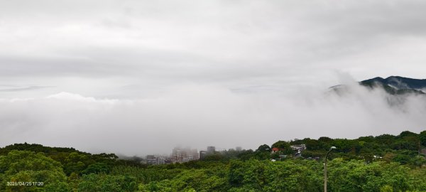 #文化大學 #雲海 #琉璃光 #陽明山秘境 4/253042457