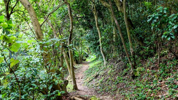 微笑山線405高地段2844163