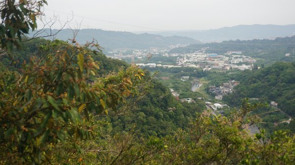 五寮尖登山步道1383117