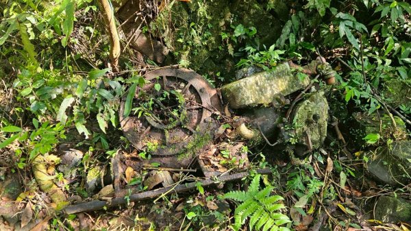 20260214五林縱走3000132