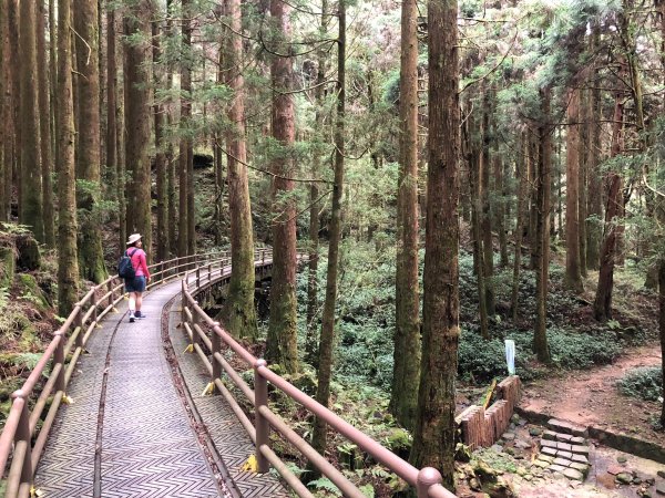 特富野古道602504