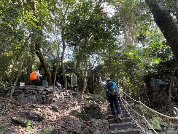 1141129巨人之手｜雪山坑登山步道2949142