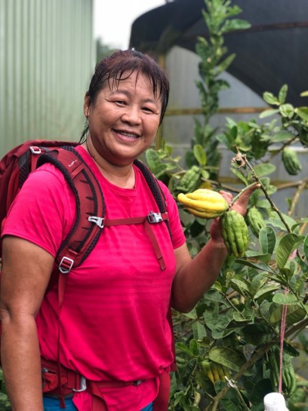 後棟山經挑筍古道上大尖山再走樟湖山1100399