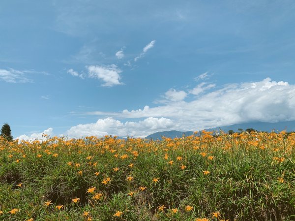 200825赤科山步道1109159