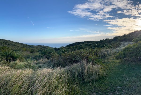 20251210_大山母山（屏東小百岳）2968656