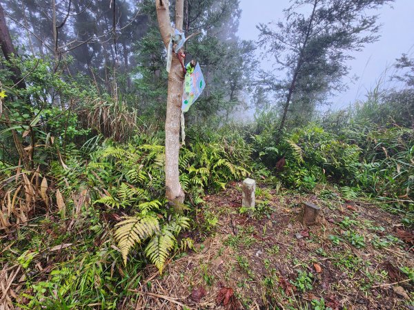 20260208五分寮頂山內大坪山石硬山O型3005252