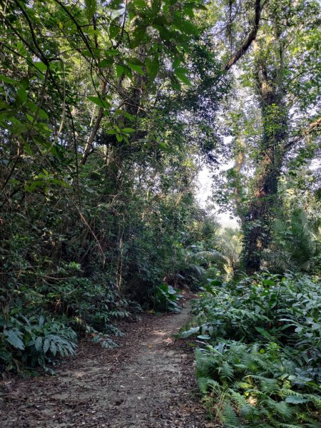 【新竹縣新埔鎮】飛龍步道2833126