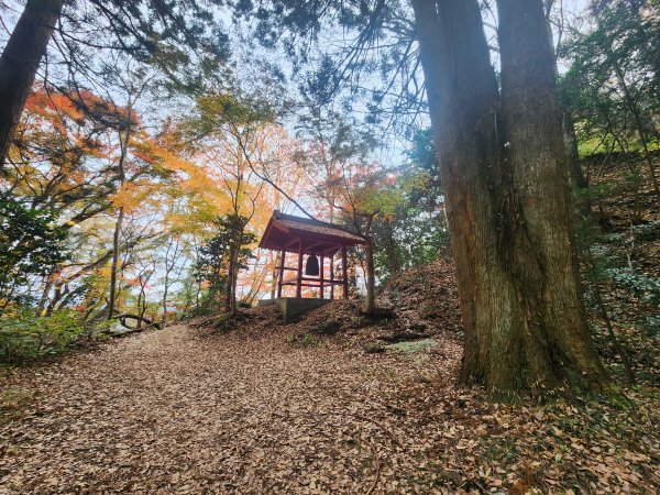 20251125登月居山遊袋田瀑布順遊舊上岡小學校2958376