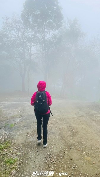 【台南。 南化】迷霧山徑。 小百岳集起來。 編號70小百岳~刣牛湖山登山步道1610468