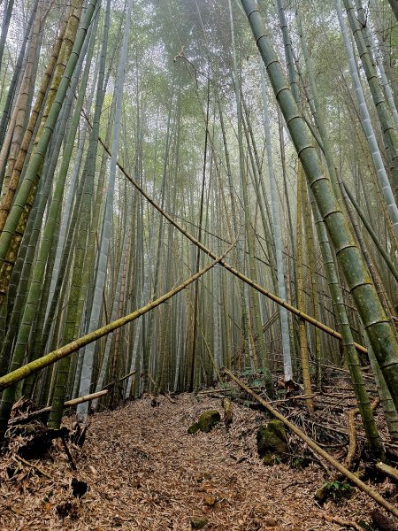 小百岳集起來-石壁山2184953