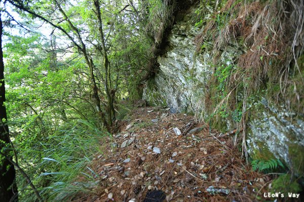 合歡越嶺古道‧赤松段1889405