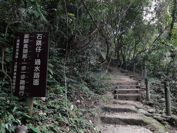 【跟著寶寶漫步參山】獅頭山五連走1135988