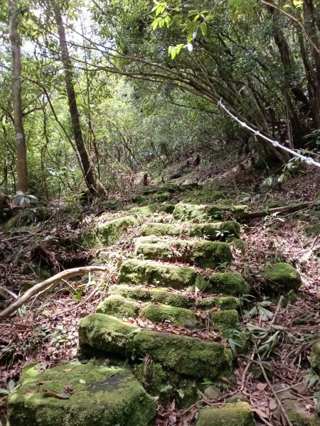 雙溪區大埤遺址東林寺+大埤古道+572峰去回2784169