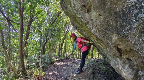 (姨婆趴趴走)第十四集:新竹關西油井窩山、彩和山、高甫山縱走2206448