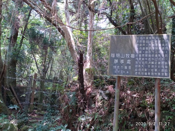 台北市士林區 絹絲瀑布步道，冷擎步道1093841