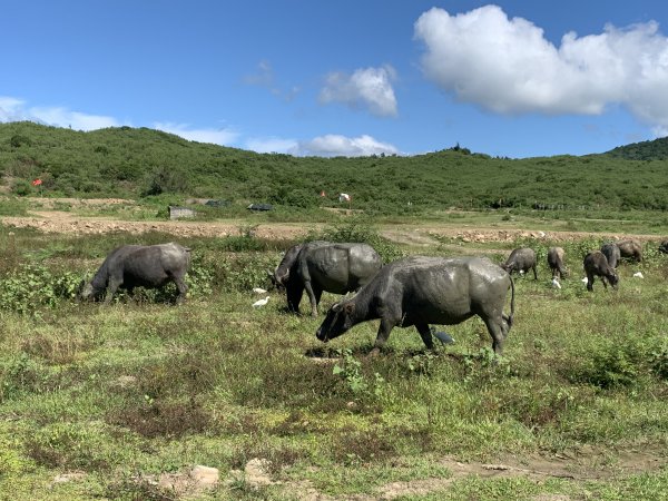20251006屏東老佛山-老佛山西峰2907873