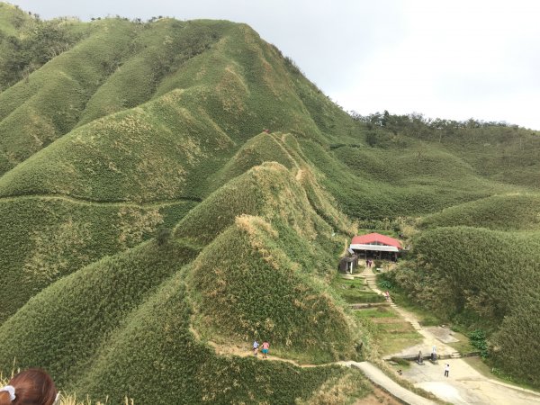 抹茶山之旅812889