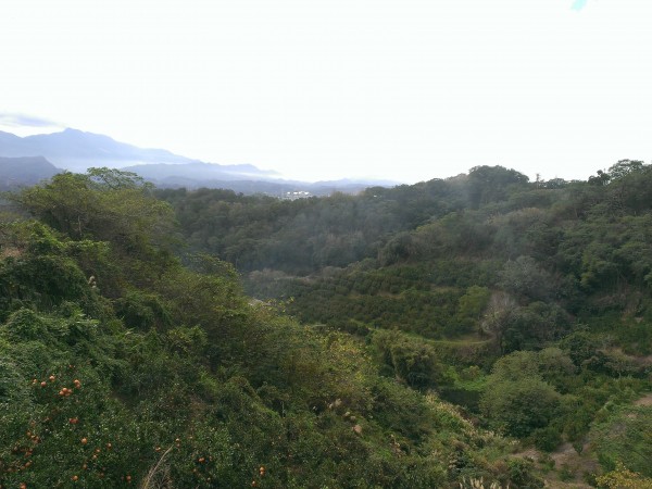 獅頭山-藤坪步道&萬佛庵步道253507