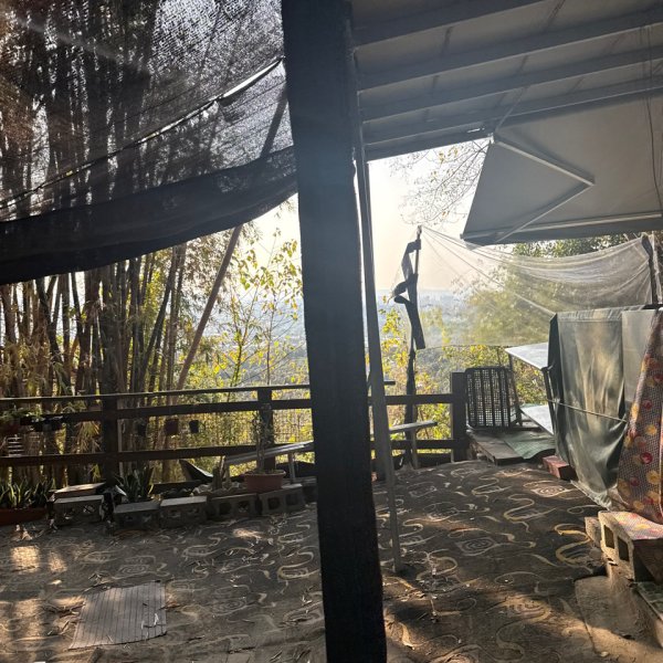 20260218 台中－臺灣百大必訪步道大坑9、10號步道3006435