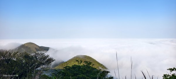 #大屯山 #雲海 3/223019606