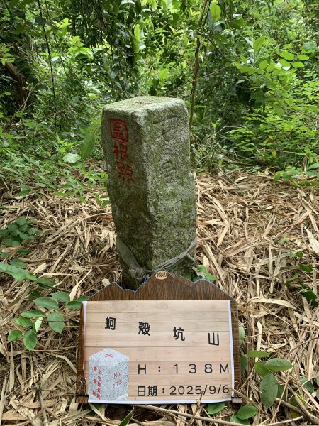 20250906台南蚵殼坑山-九層嶺-三十六崙山-洋子寮山2881505
