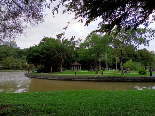 大港墘公園、大湖公園 (防災公園) - “非常愛尋寶”【走路趣尋寶，全臺齊步走】1883873